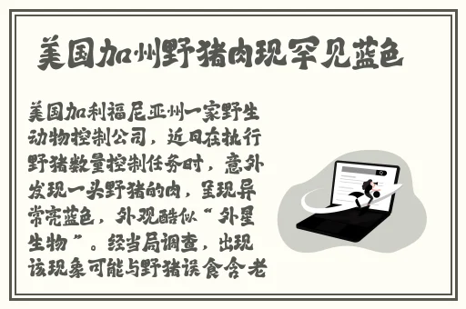 星空传媒mv在线观看免费高清